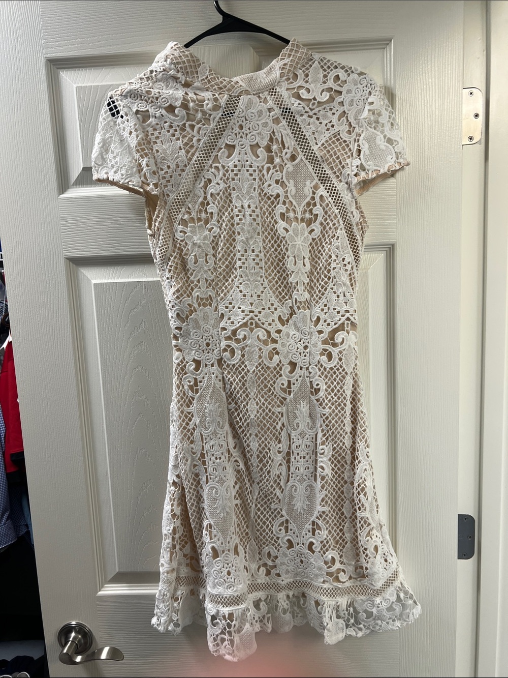 Ivory Lace Overlay Short Sleeve Fit-and-Flare Dress